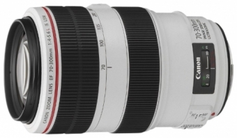 Объектив Canon EF 70-300mm f/4-5.6L IS USM